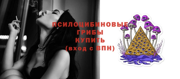 сатива Пролетарск