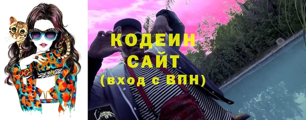 прущий лед Абаза