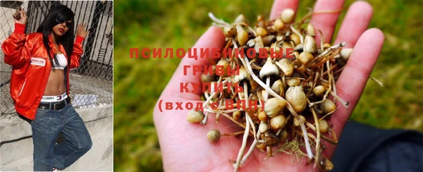 бошки Приозерск